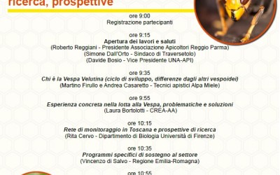 Vespa Velutina: a che punto siamo? – Convegno sabato 30/09 ore 9:00, Corte Agresti – Traversetolo (PR)