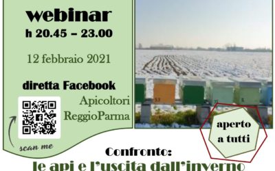 Confronto: le Api e l’uscita dall’Inverno 12/02 diretta Facebook h 20.45