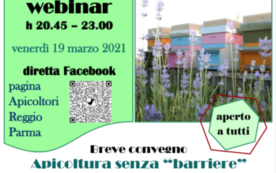 Apicoltura senza “Barriere”. Esperienze di Apicoltura e Disabilità – diretta Facebook h 20:45