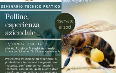 Polline, esperienza aziendale  – Seminario tecnico pratico